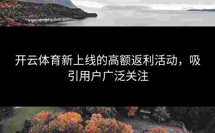 开云体育新上线的高额返利活动，吸引用户广泛关注