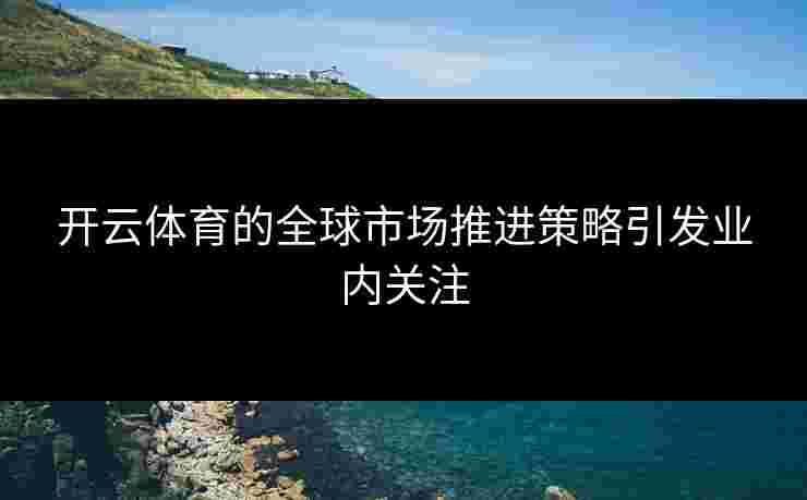 开云体育的全球市场推进策略引发业内关注