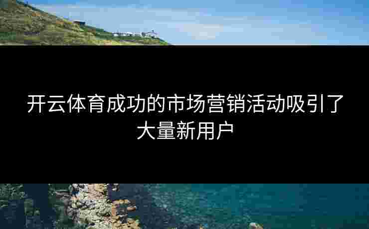 开云体育成功的市场营销活动吸引了大量新用户